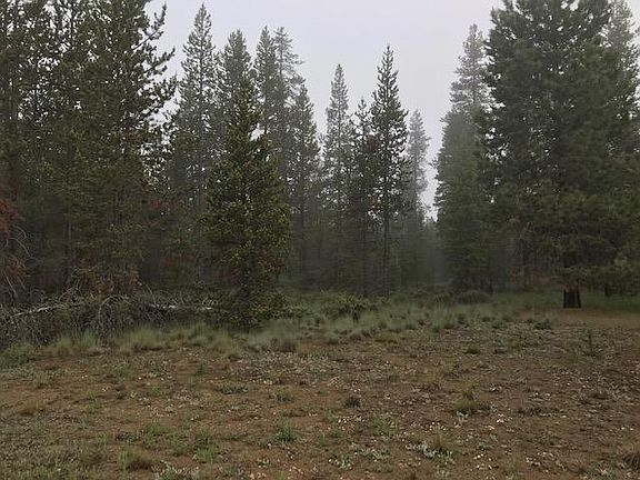 2nd image of 16666 Evergreen Ln