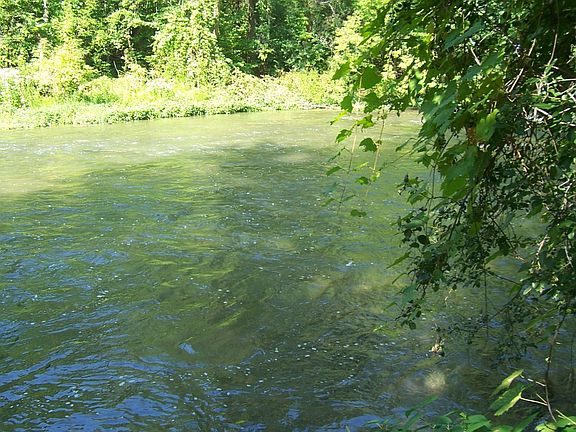 Canandaigua Outlet Back Yard