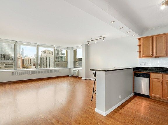 4th image of 1360 N Sandburg Ter APT 2402C