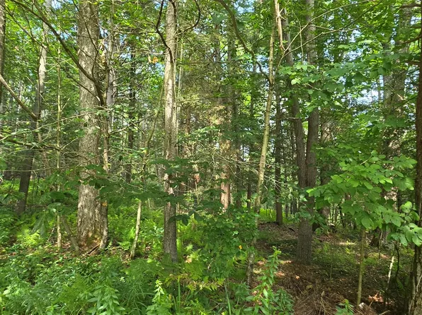 Lot 6 NYS 52, Narrowsburg, NY 12764