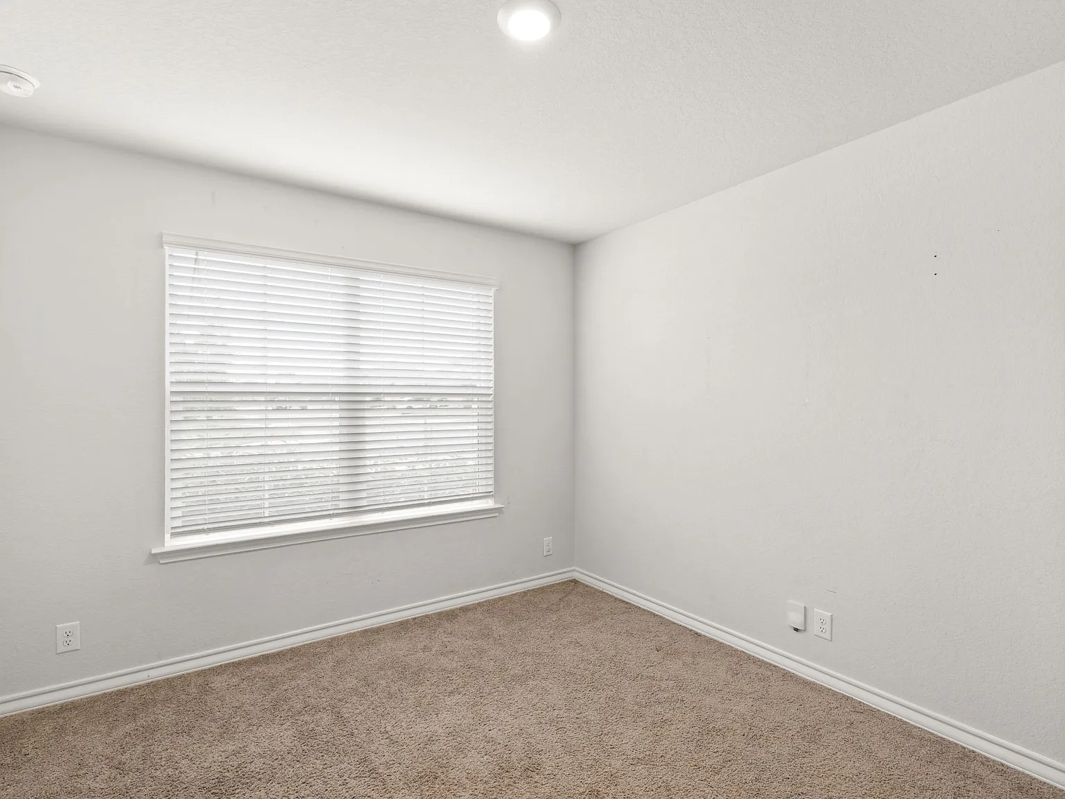 165 Kakapo Drive - 1 — Photo 3