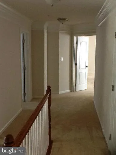 6303 Soueid St — Photo 16