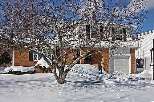 1st image of 294 Bucyrus Dr