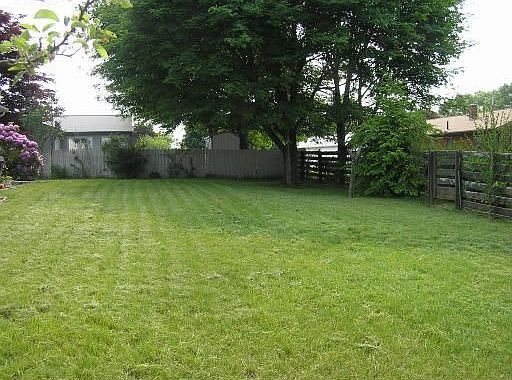 Nice size Yard