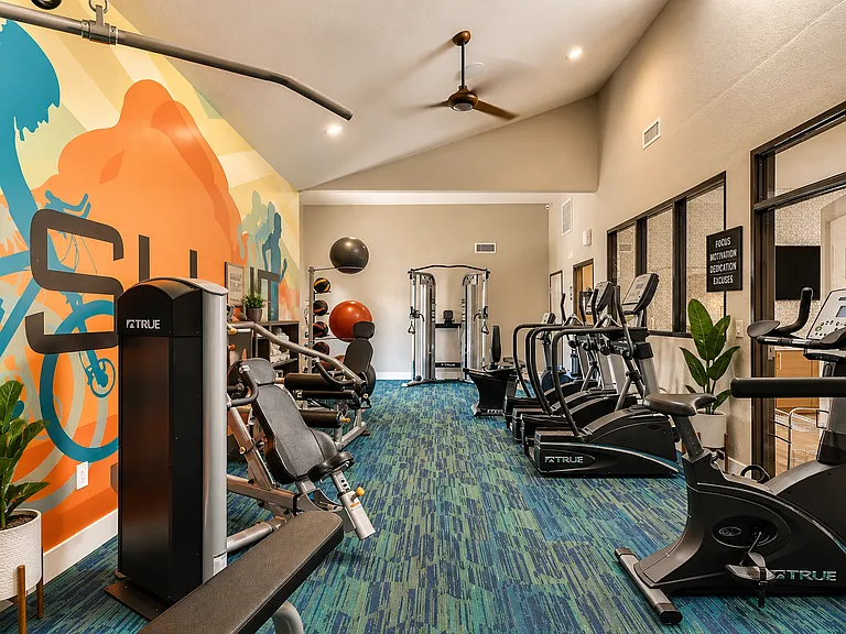 Spacious modern gym with vibrant mural