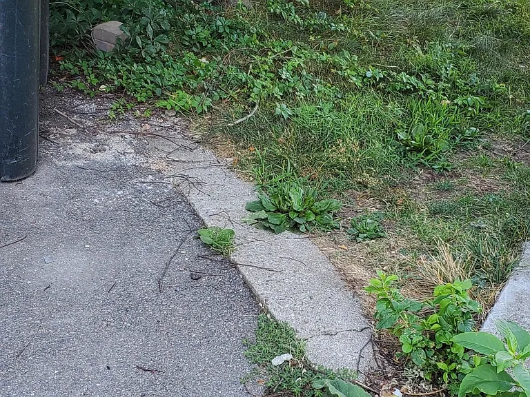 16 Underwood Park #2B — Photo 16