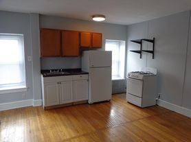 219 Green Ln, Philadelphia, PA