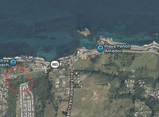 485 Rd Membrillo Farm, Camuy, PR 00627