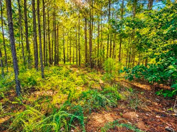 406 Terrapin Pointe Rd, Hodges, SC 29653