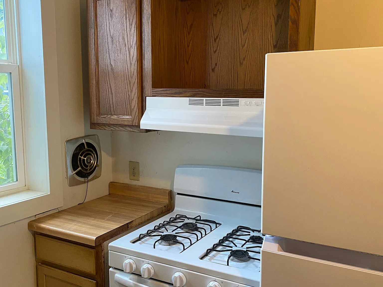 1 bed, $455 — Photo 4