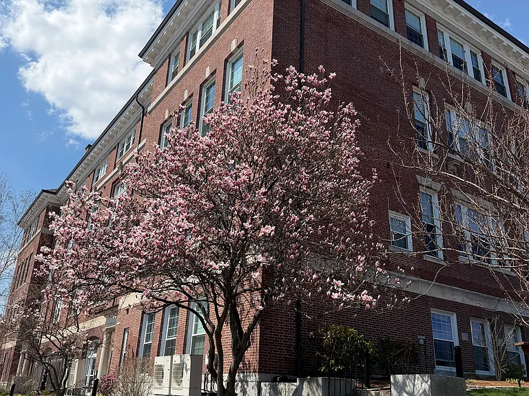 52 Sanborn St #206 — Photo 16