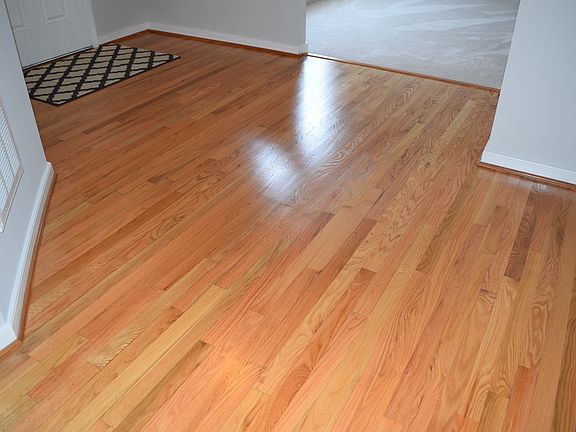 Just refinished wood floors 