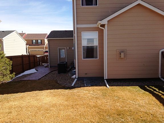 Backyard 1