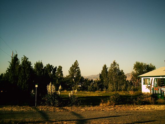 Mature front landscaping