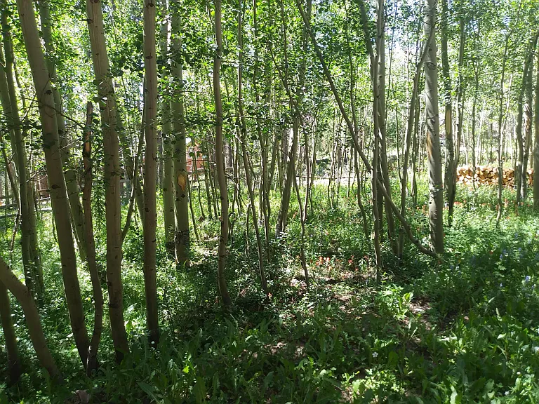 38 Skicrest Ln #CABIN — Photo 11