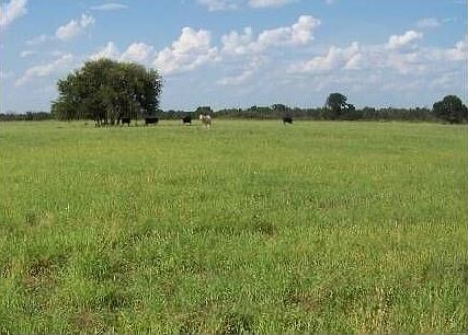 1st image of 8744 County Road 335