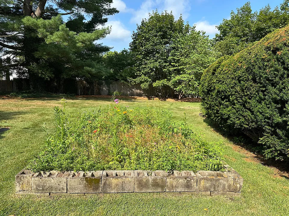 Large outdoor space and garden
