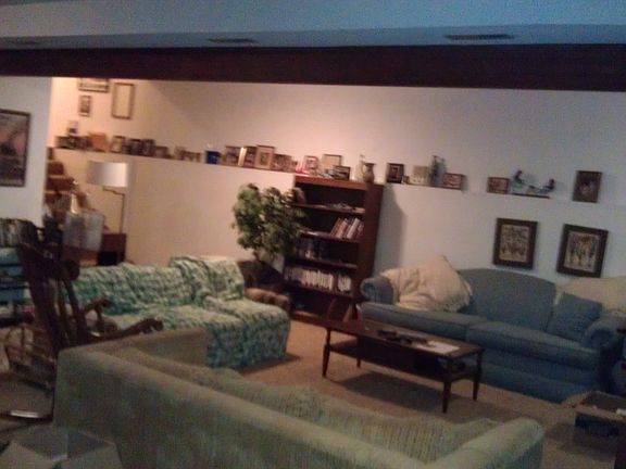 family room in daylight basement