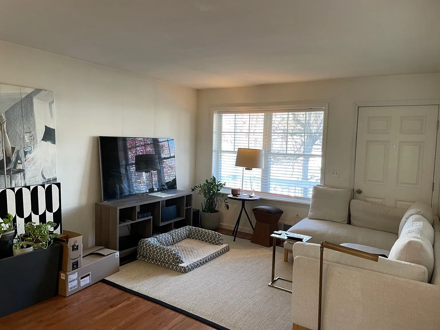 2 bed, $3,300 — Photo 2