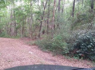 Cormorant Saint Belle Isle, Georgetown, SC 29440