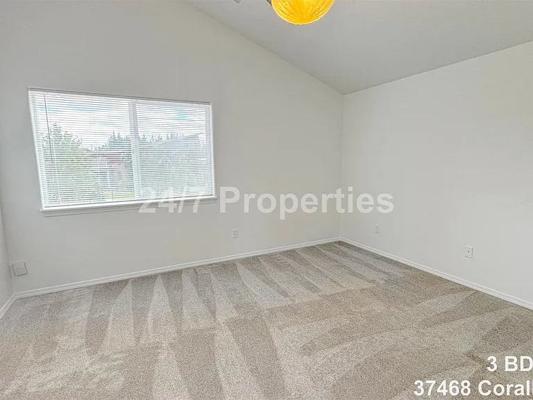 37468 Coralburst St — Photo 13