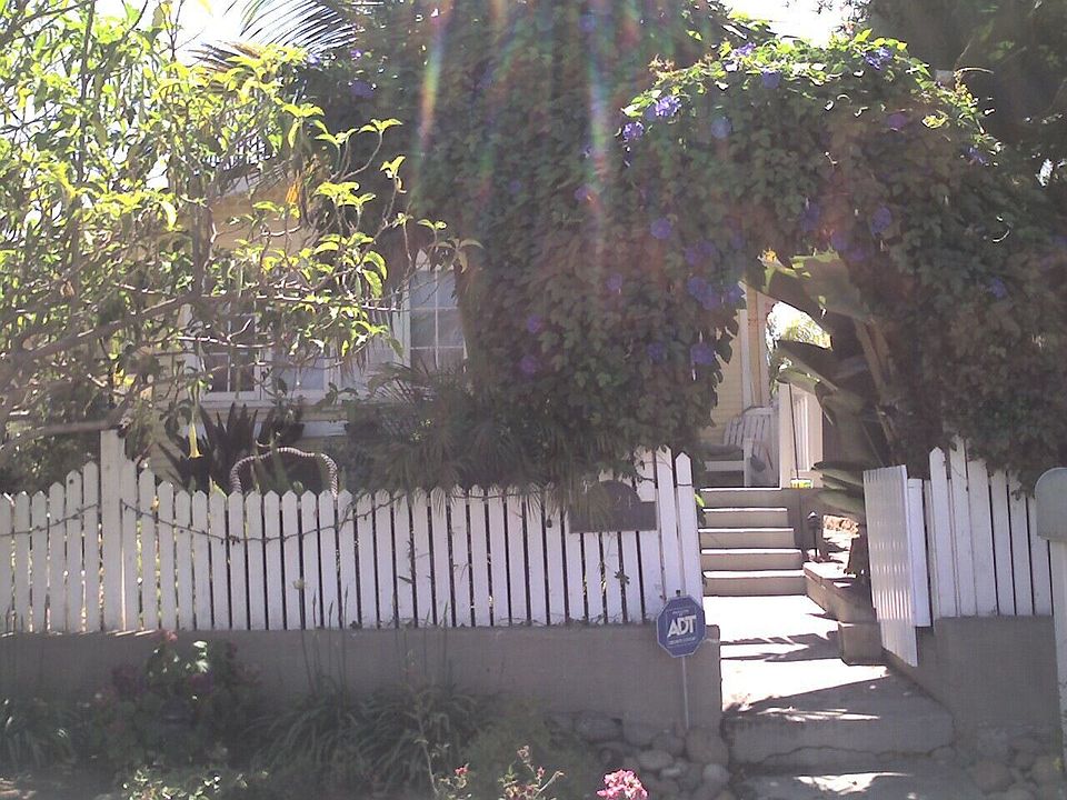 The front garden, with morning glory vines and a white picket fence. 