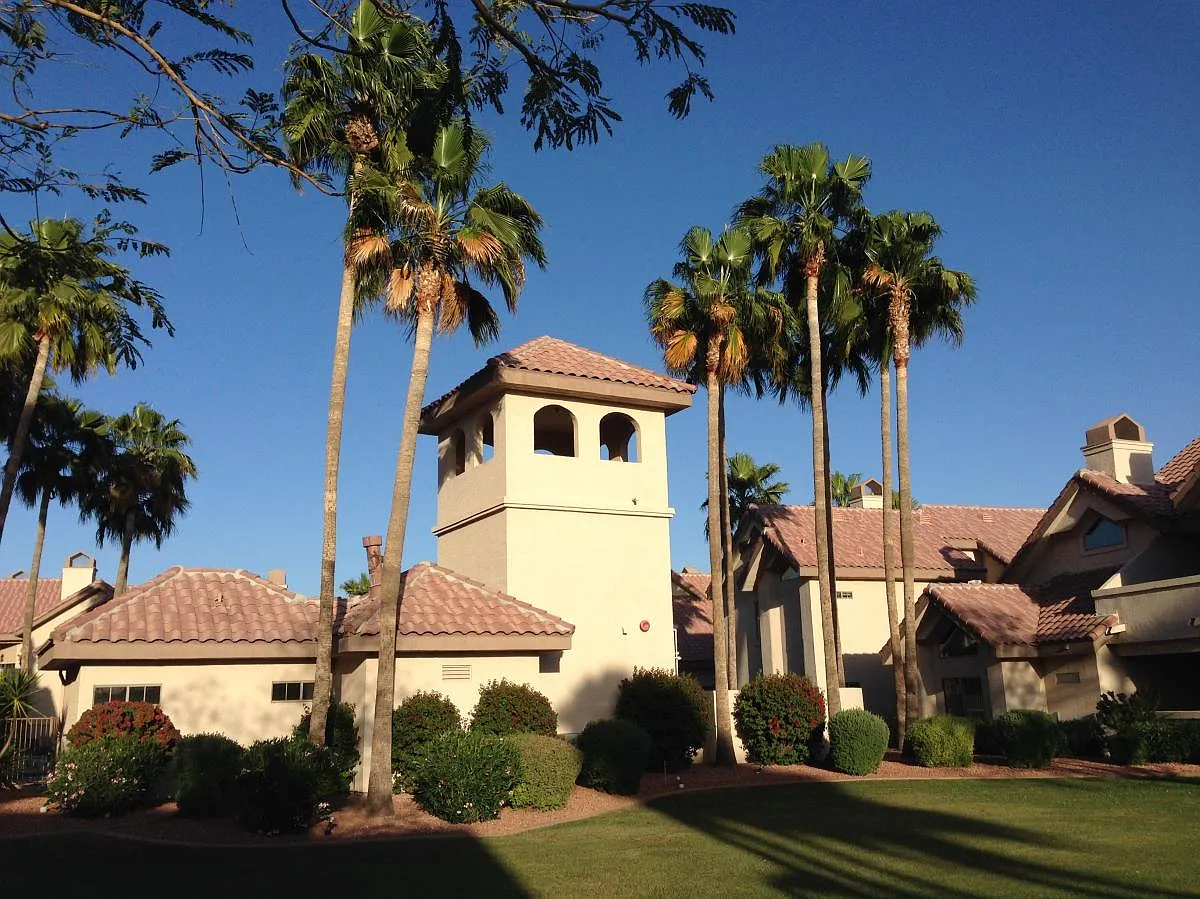 N Litchfield Road, Goodyear — Photo 4