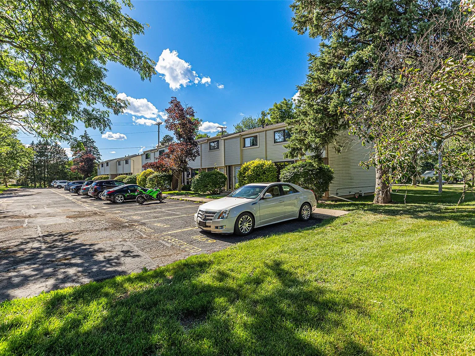 2 bed, 1.5 bath, 982 sqft, $1,800 — Photo 2