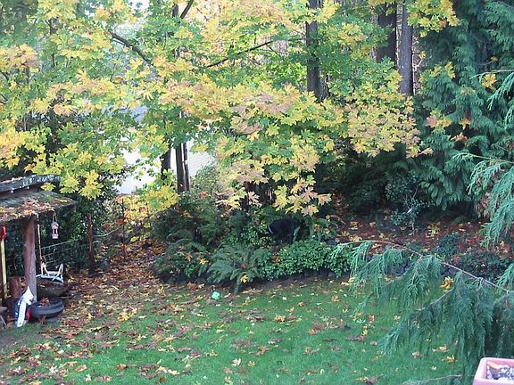 partial of back yard in the fall