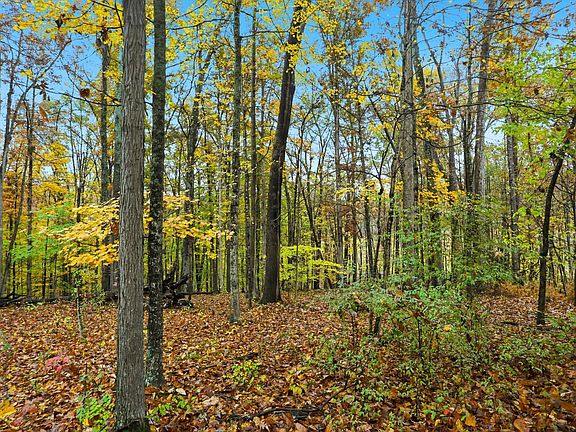 3rd image of 20 Ridgeway Dr