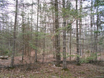 M 28, Newberry, MI, 49868