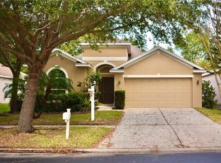 1124 Emerald Hill Way, Valrico, FL 33594