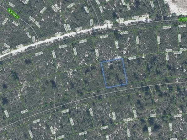 6456 Cotorro Dr, Sebring, FL 33872