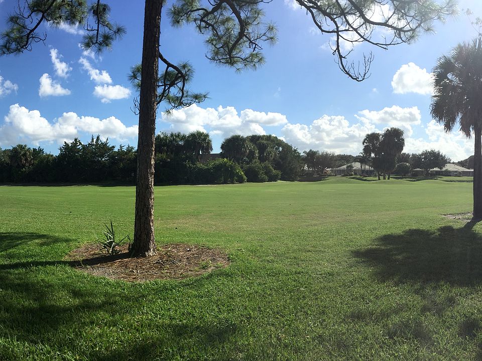 View From Patio