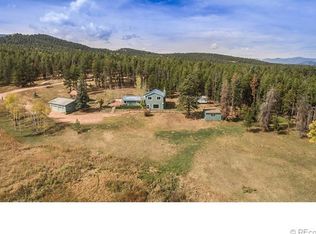 9901 Apache Spring Dr, Conifer, CO 80433