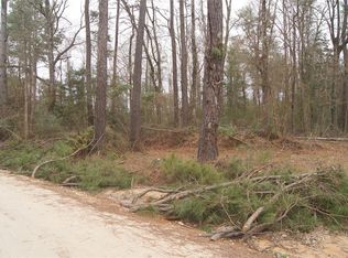 0 County Line Rd, Shepherd, TX 77371