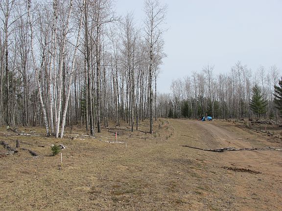 4th image of Breitung Township