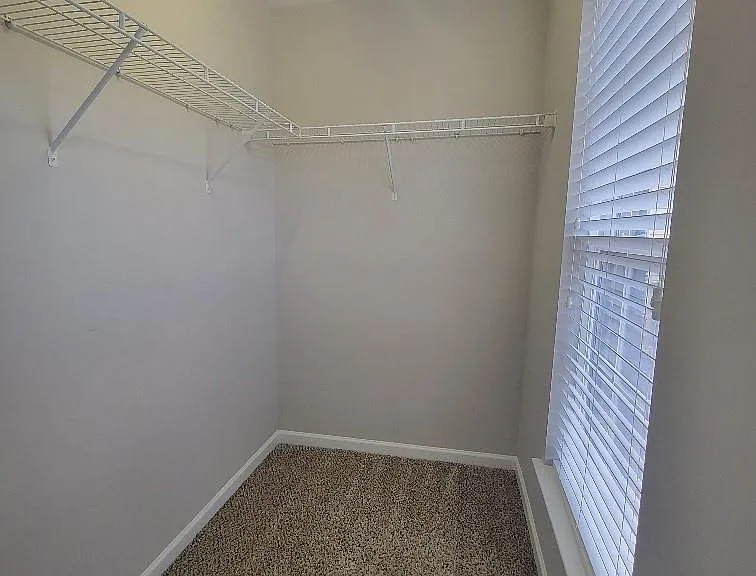 2339 Whitford Ln — Photo 22