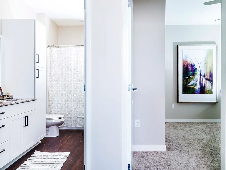 Two-Bedroom Apartment Bathroom and Sleeping Area