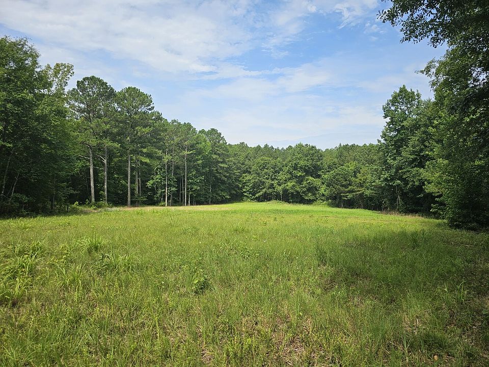 Food plot in center of property.