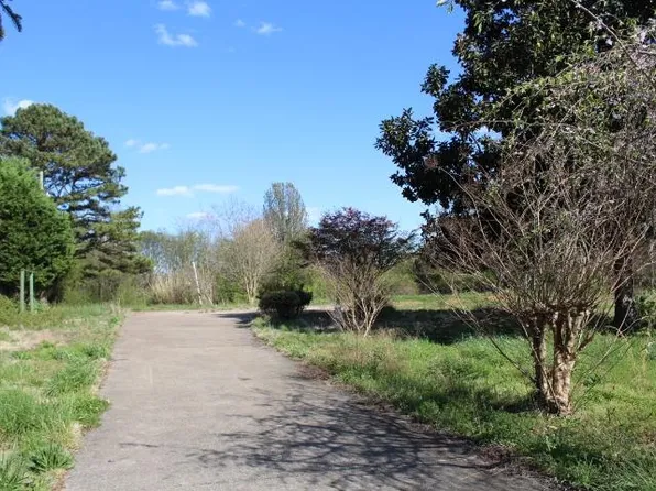 200 Spring Dr, Muscle Shoals, AL 35661