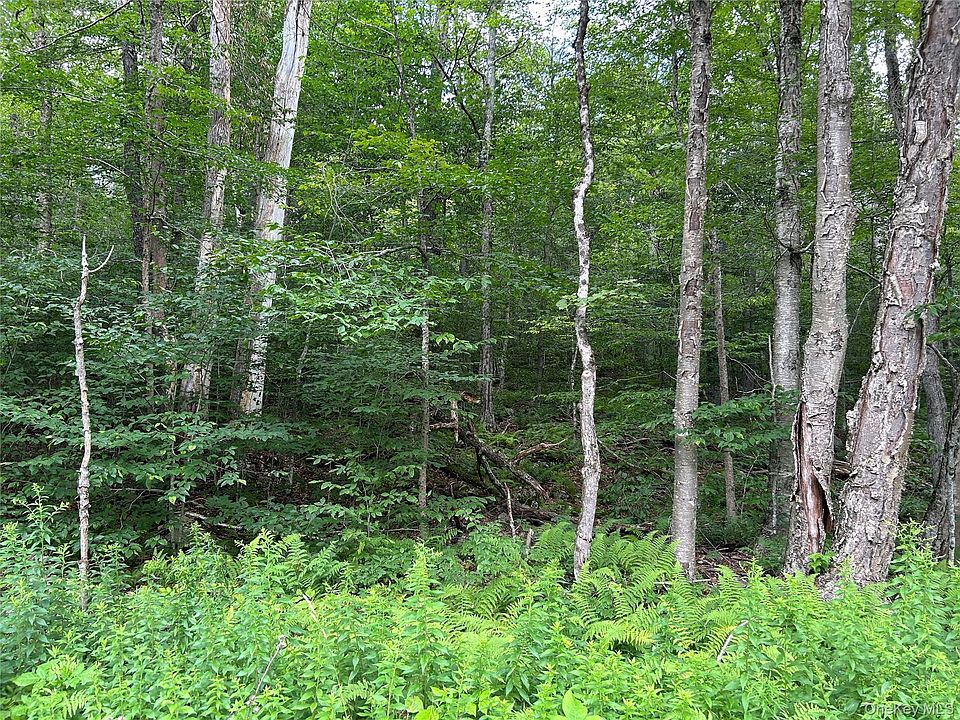 1st image of FRrost Valley Road