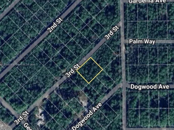 215 SE 3rd St, Pt Orange, FL 32129