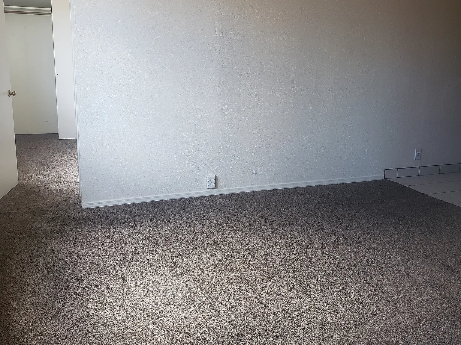 1 bed, 552 sqft, $1,000 — Photo 4