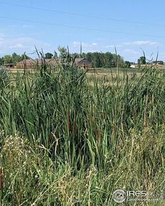 102 N County Road 23, Berthoud, CO, 80513