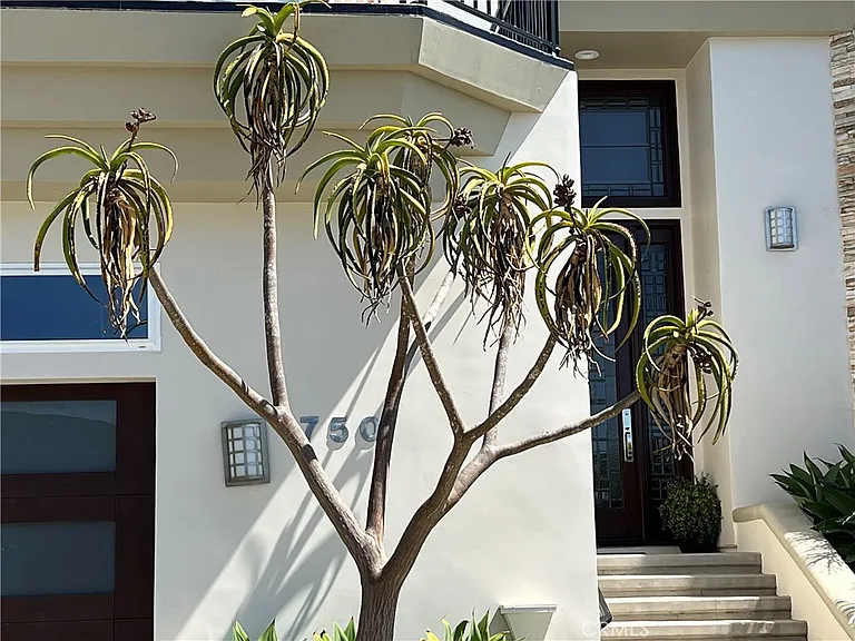 750 Bolsana Dr — Photo 18