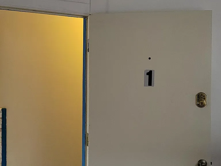 324 Spring St #1 — Photo 28