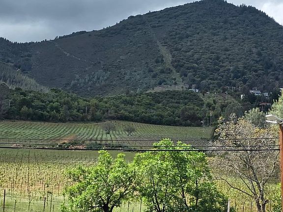 2nd image of 8735 Soda Bay Rd