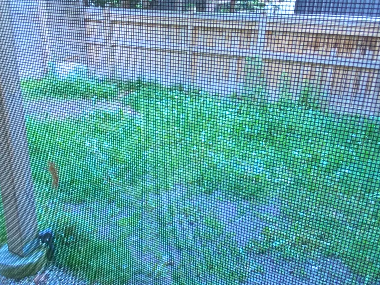 22 Ruffle Ln N #LOWER LEVEL — Photo 6