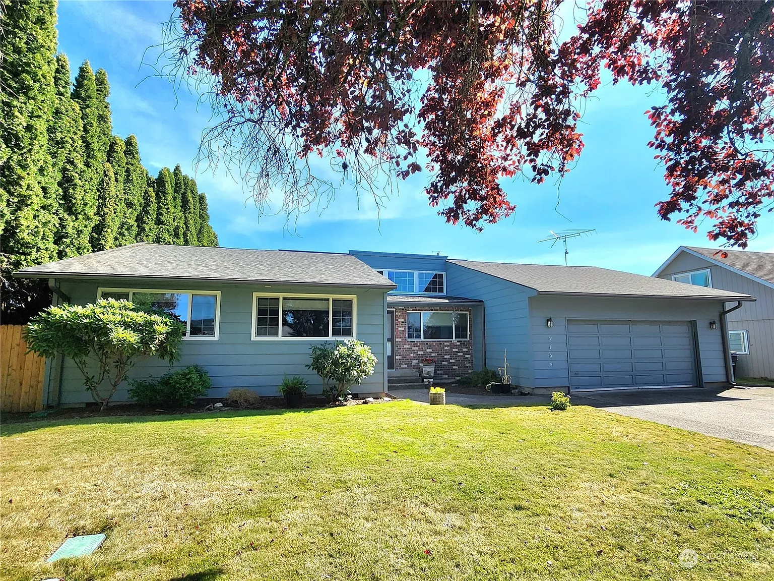 3109 Marigold Street photo 1